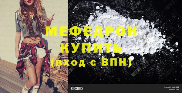 индика Осинники