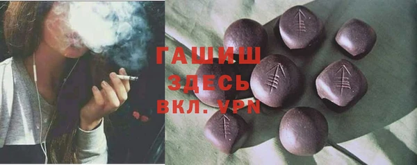 индика Осинники