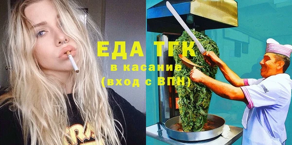 индика Осинники