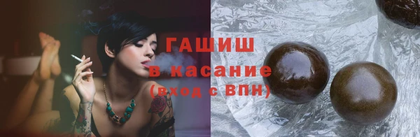 индика Осинники
