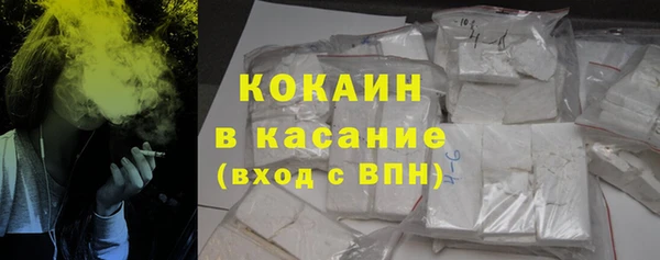 индика Осинники