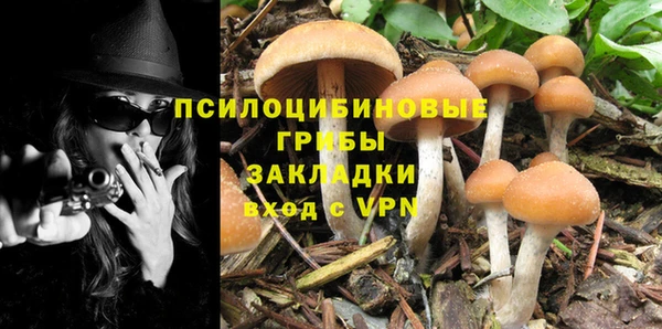 тгк Осташков