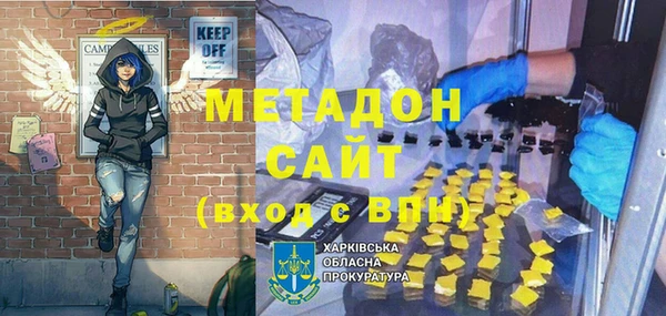 индика Осинники