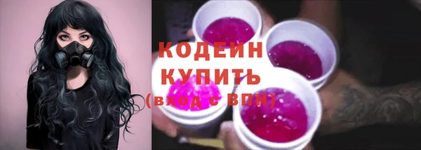 индика Осинники