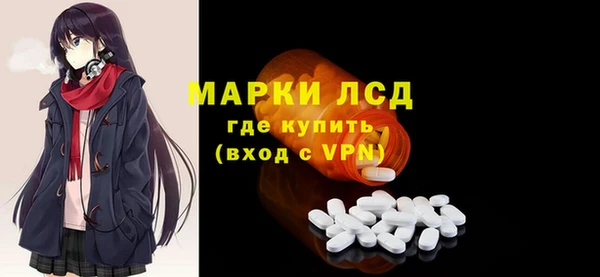 индика Осинники
