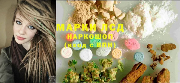 индика Осинники