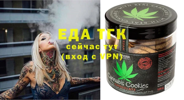 индика Осинники