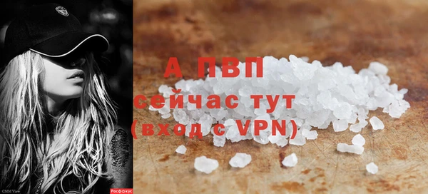 индика Осинники
