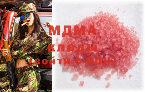 индика Осинники