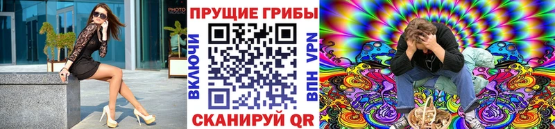 Галлюциногенные грибы Cubensis  ОМГ ОМГ ТОР  Губкинский  как найти закладки 