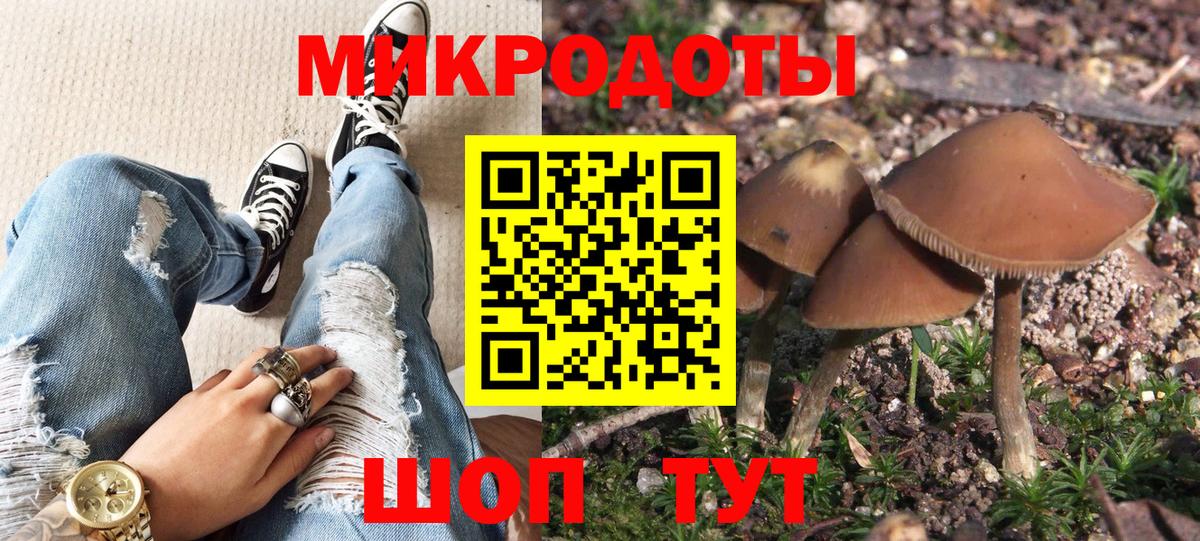 Псилоцибиновые грибы ЛСД Губкинский