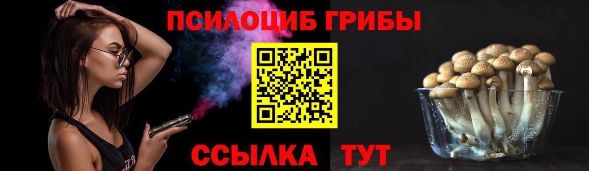 Галлюциногенные грибы прущие грибы  Губкинский 